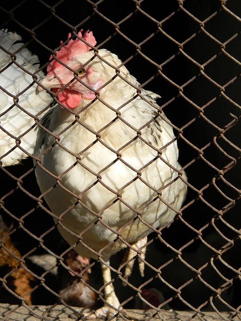 与此同时 与此同时