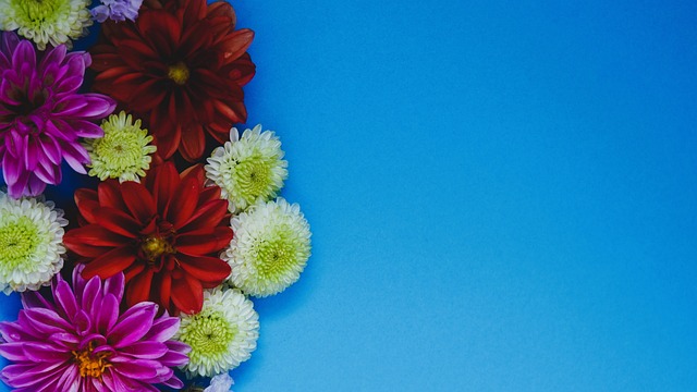 填补球队的 填补球队的