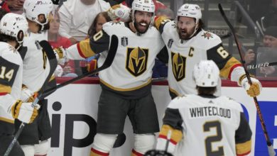 洛职业生涯 洛职业生涯